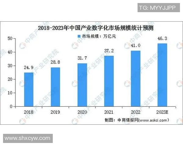 12月12日中日对决分析两国经济文化差异与未来发展趋势 12月12日中日对决分析两国经济文化差异与未来发展趋势