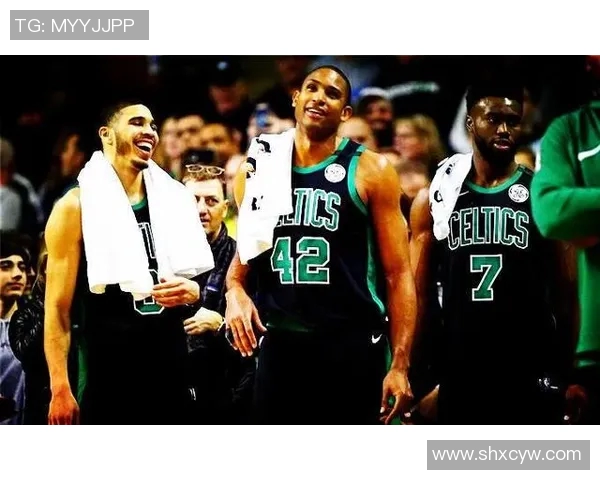 2004年NBA精彩对决火箭队与猛龙队的巅峰之战回顾与分析 2004年NBA精彩对决火箭队与猛龙队的巅峰之战回顾与分析